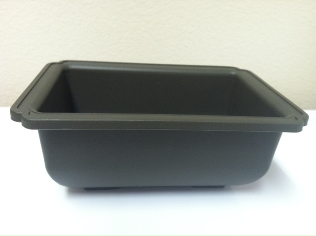 Plastic Pot - 6"